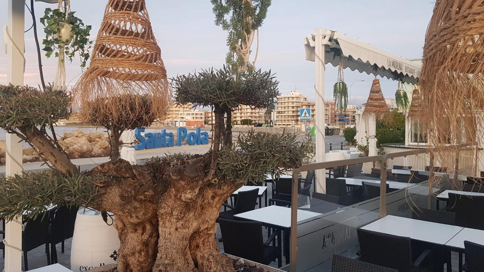 Apartamento Pepi Adults Only Santa Pola Eksteriør bilde